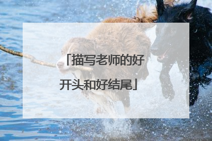 描写老师的好开头和好结尾