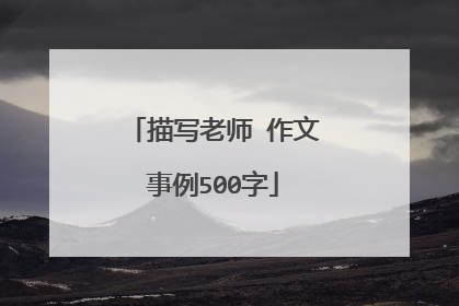 描写老师 作文事例500字