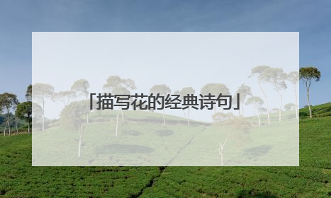 描写花的经典诗句