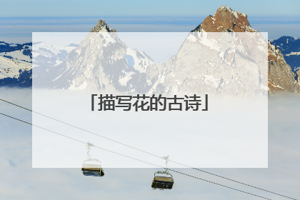 描写花的古诗