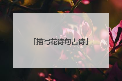 描写花诗句古诗