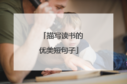 描写读书的优美短句子