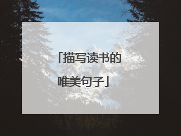 描写读书的唯美句子