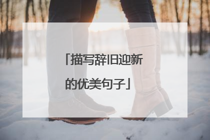 描写辞旧迎新的优美句子