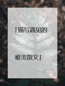 描写遇见的唯美散文