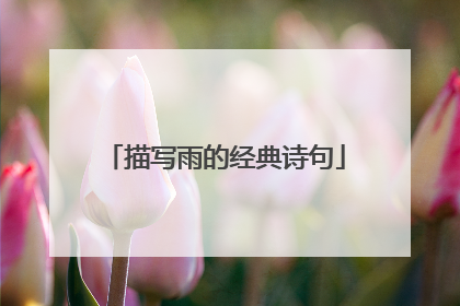 描写雨的经典诗句