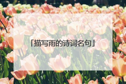 描写雨的诗词名句