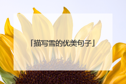 描写雪的优美句子