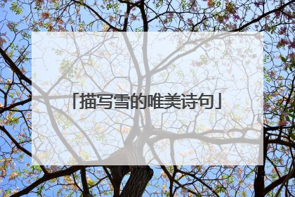描写雪的唯美诗句