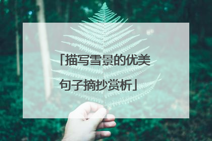 描写雪景的优美句子摘抄赏析