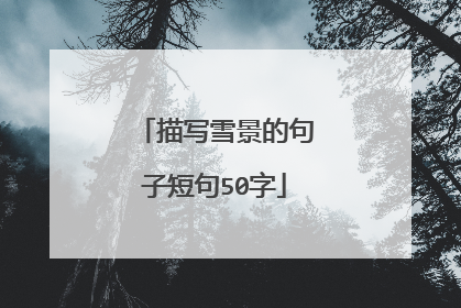描写雪景的句子短句50字