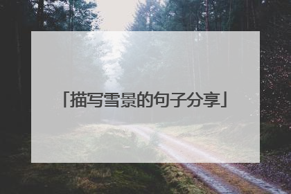 描写雪景的句子分享