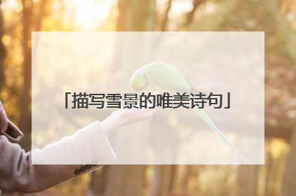 描写雪景的唯美诗句