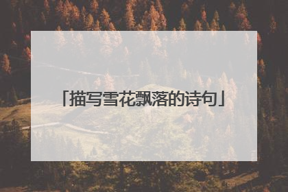 描写雪花飘落的诗句