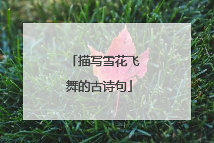 描写雪花飞舞的古诗句