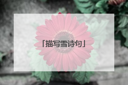 描写雪诗句