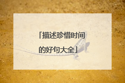 描述珍惜时间的好句大全
