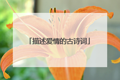 描述爱情的古诗词