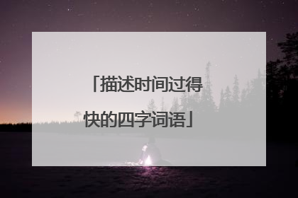 描述时间过得快的四字词语