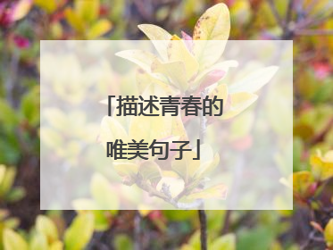 描述青春的唯美句子