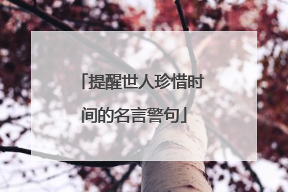 提醒世人珍惜时间的名言警句
