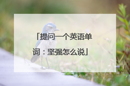 提问一个英语单词:坚强怎么说