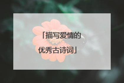 描写爱情的优秀古诗词