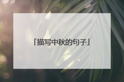 描写中秋的句子