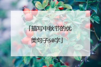 描写中秋节的优美句子50字