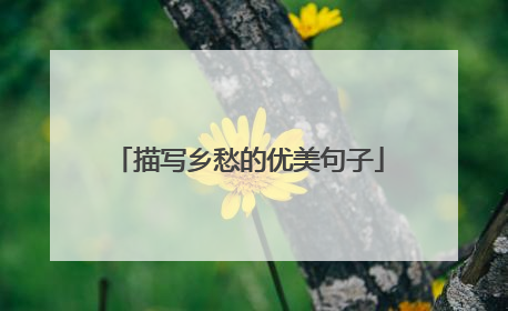 描写乡愁的优美句子