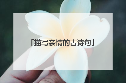 描写亲情的古诗句