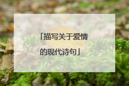 描写关于爱情的现代诗句