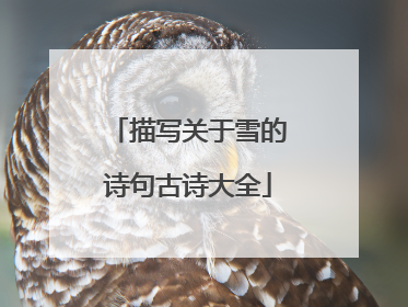 描写关于雪的诗句古诗大全