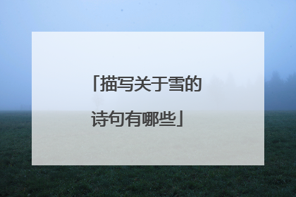 描写关于雪的诗句有哪些
