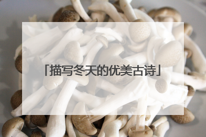描写冬天的优美古诗