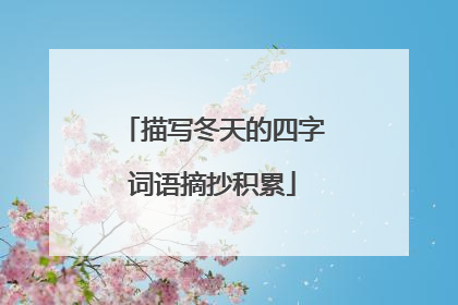 描写冬天的四字词语摘抄积累