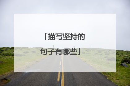 描写坚持的句子有哪些