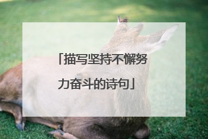 描写坚持不懈努力奋斗的诗句