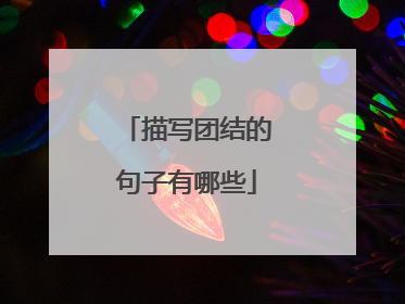 描写团结的句子有哪些