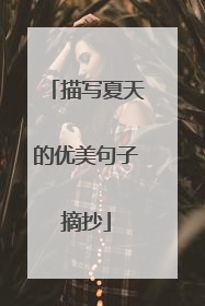 描写夏天的优美句子摘抄