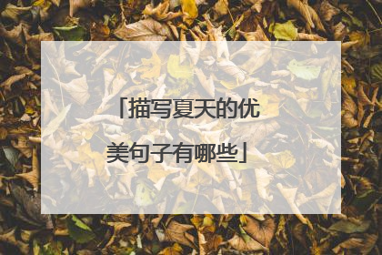 描写夏天的优美句子有哪些