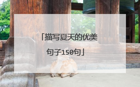 描写夏天的优美句子150句