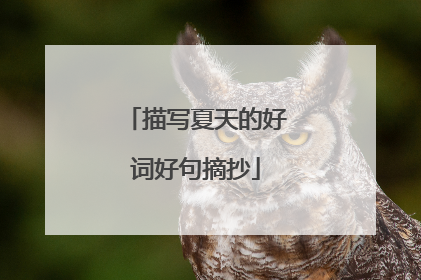 描写夏天的好词好句摘抄