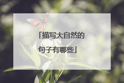 描写大自然的句子有哪些
