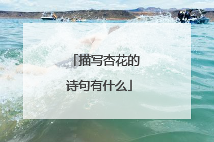 描写杏花的诗句有什么