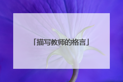 描写教师的格言