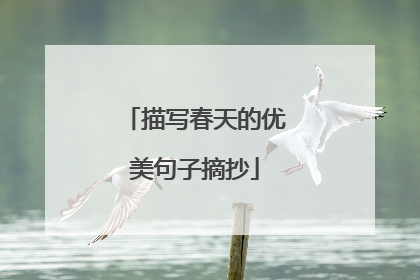 描写春天的优美句子摘抄