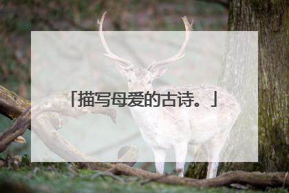 描写母爱的古诗。