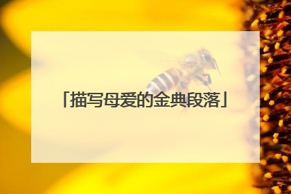描写母爱的金典段落
