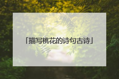 描写桃花的诗句古诗